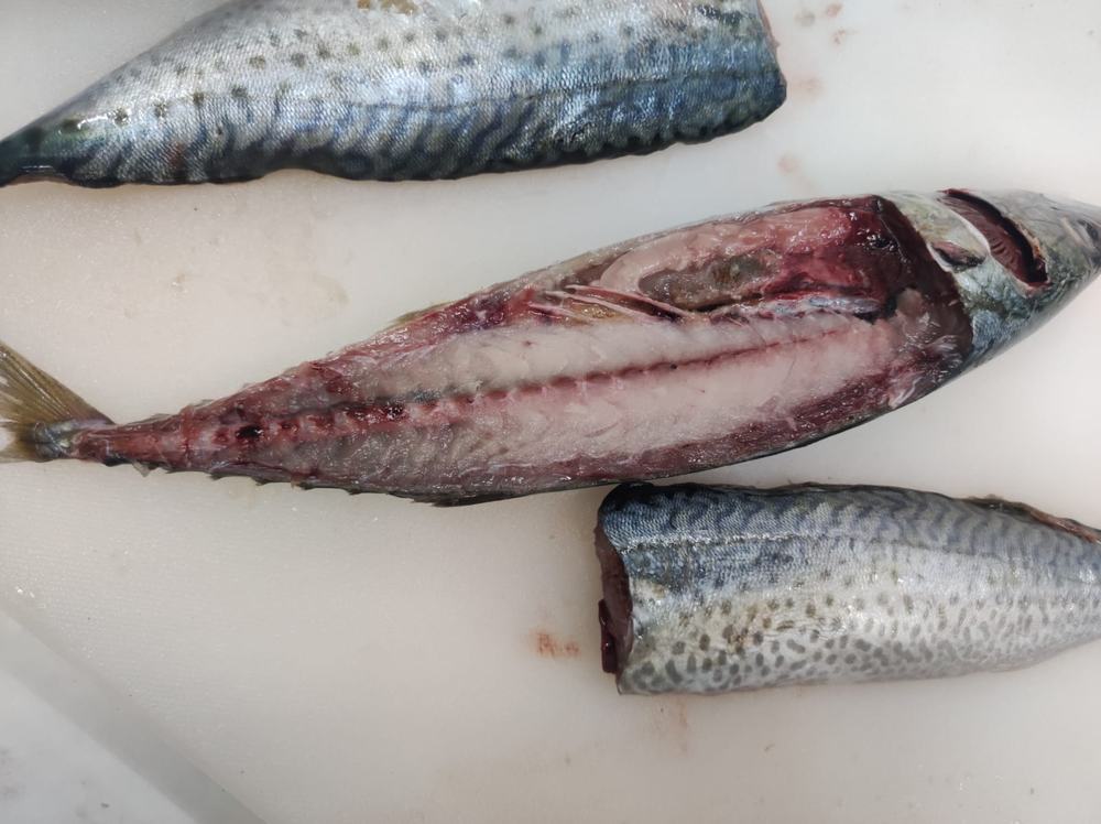 Maquereau — Chair, photo 2