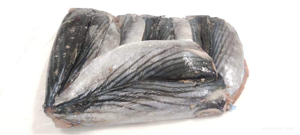 Bonite — Filet bloc, photo 7