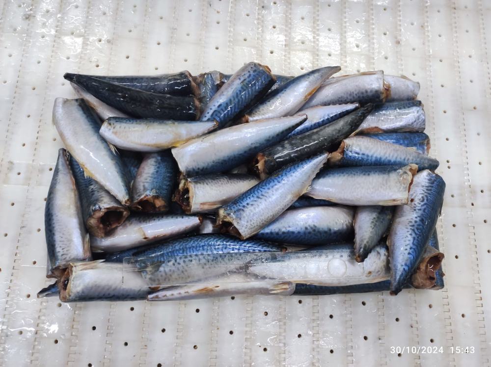 Maquereau — 3ème choix, photo 4